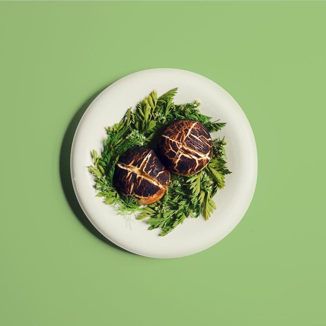 Mushroom steamed buns served on a shallow green-rimmed ceramic plate